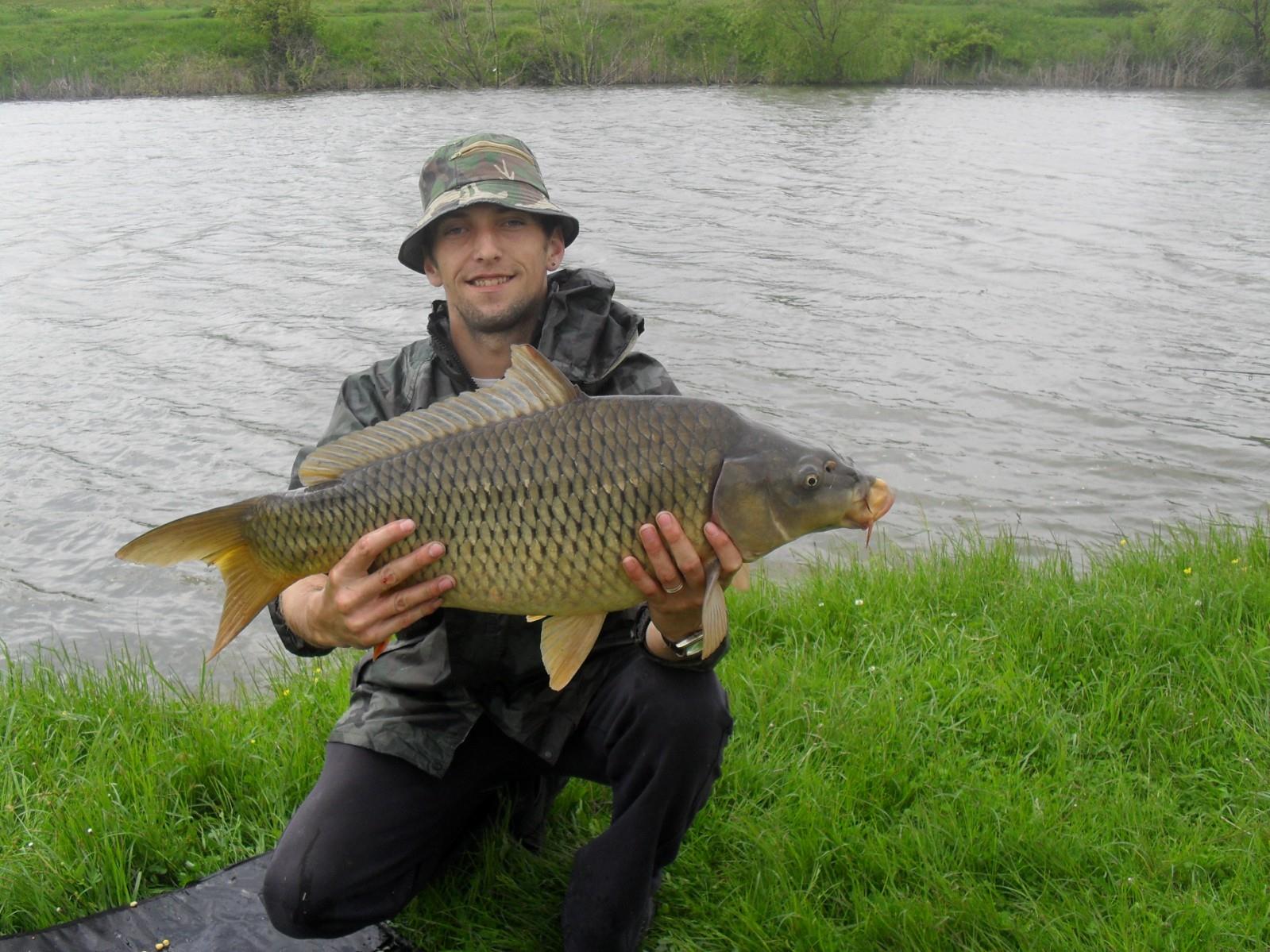 Crapi de Cornesti - 8 kg.JPG